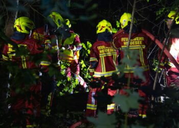 Feuerwehr löscht den Waldbrand bei Friedersdorf in der Nacht