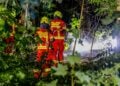 Feuerwehrleute im Wald bei Friedersdorf