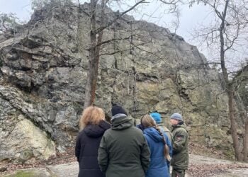 Der Rothsteiner Felsen im Naturpark Niederlausitzer Heidelandschaft