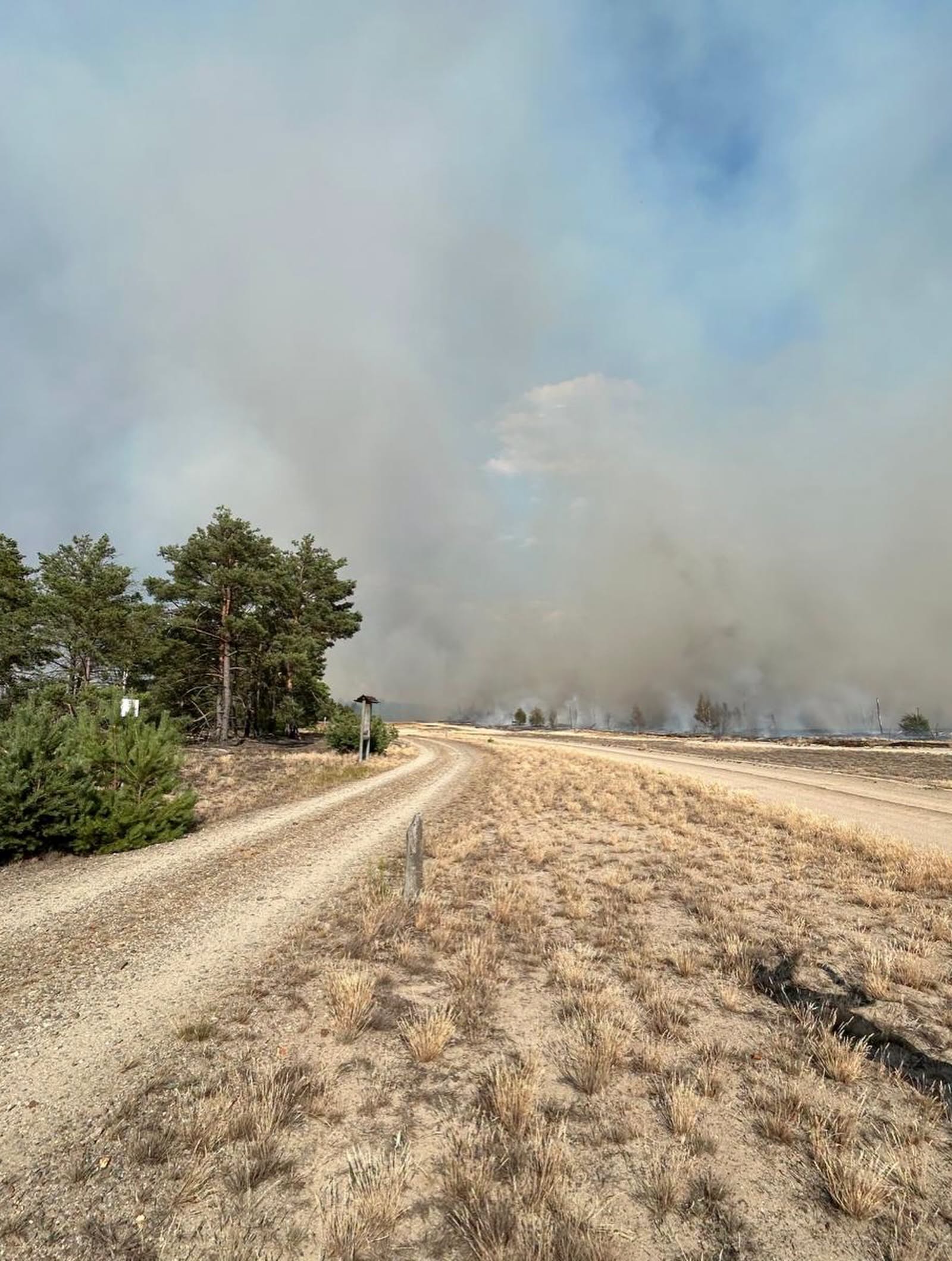 Waldbrand auf dem Truppenübungsplatz bei Jüterbog