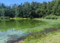Bild: Stadt Cottbus