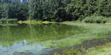 Bild: Stadt Cottbus