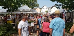 Burg: Töpfermarkt lädt am Wochenende mit 40 Töpfereien zum Stöbern ein