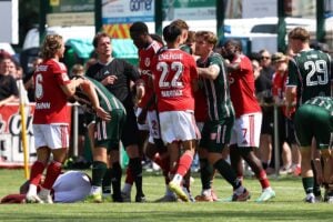 Rassismus-Vorfall? Test zwischen Energie Cottbus & Halle abgebrochen