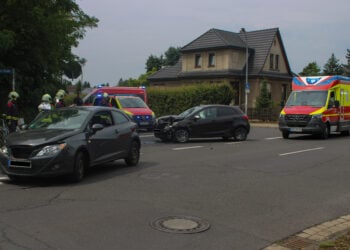 Bild: L. Seidel / brandenburg.media