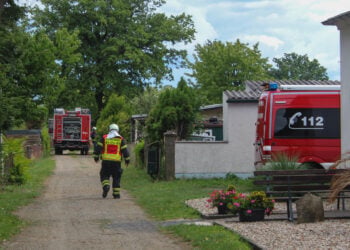 Bild: L. Seidel / brandenburg.media