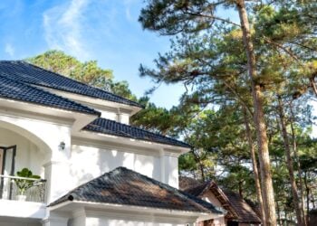 Modernes weisses Wohnhaus mit dunkler Dacheindeckung zwischen Kiefern