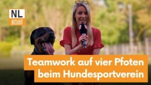 Sport-Update Cottbus: Teamwork auf vier Pfoten beim Hundesportverein
