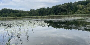 Bild:  Konstanze Schirmer/Stadtverwaltung Spremberg/Grodk
