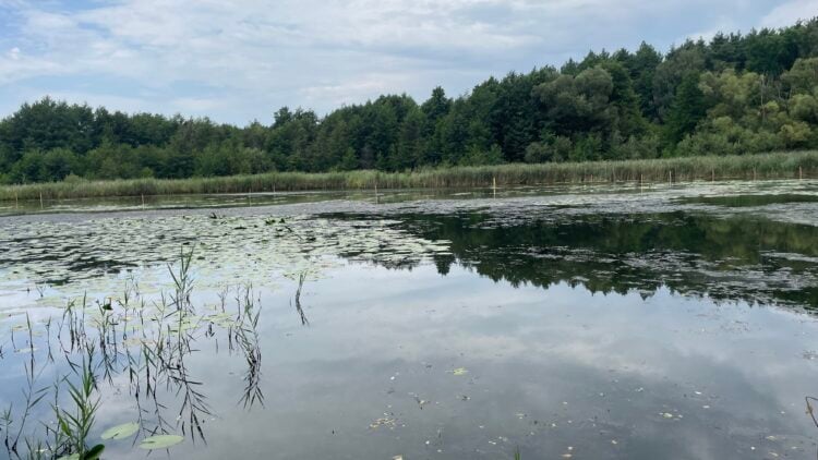 Bild: Konstanze Schirmer/Stadtverwaltung Spremberg/Grodk
