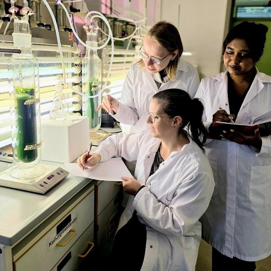 Drei Wissenschaftlerinnen überprüfen Spirulinakulturen im Labor der BTU