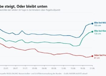 Liniendiagramm mit drei Pegelkurven: Elbe bei Mühlberg und Riesa steigen, die Oder bei Frankfurt bleibt niedrig