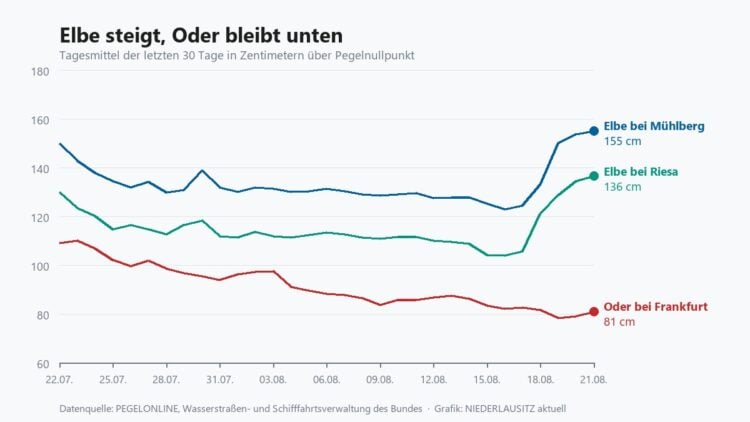 Liniendiagramm mit drei Pegelkurven: Elbe bei Mühlberg und Riesa steigen, die Oder bei Frankfurt bleibt niedrig