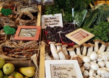 Marktstand mit Gemüse, Pilzen und Obst in Holzkisten
