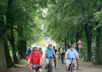Gruppe von Radfahrern auf einer von Bäumen gesäumten Allee