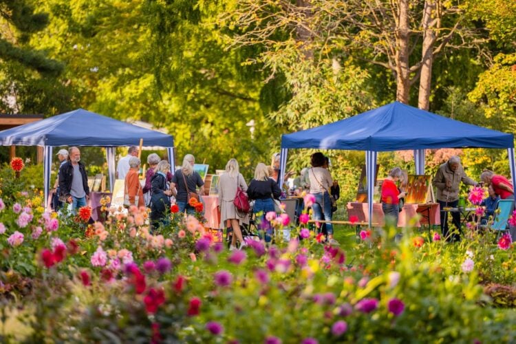 Besucher zwischen Pavillons und blühenden Dahlien im Ostdeutschen Rosengarten Forst