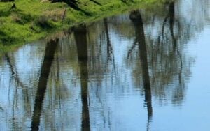 Wegen Trockenheit: Cottbus plant Wasserentnahmeverbot aus Gewässern