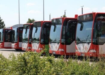 Symbolbild Busflotte Cottbusverkehr