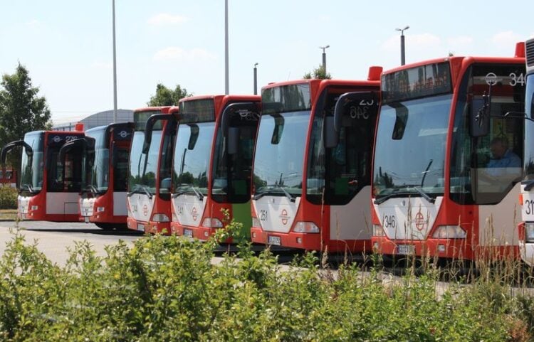 Symbolbild Busflotte Cottbusverkehr