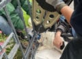 Bild: Feuerwehr Cottbus
