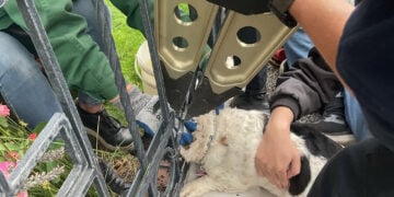 Bild: Feuerwehr Cottbus