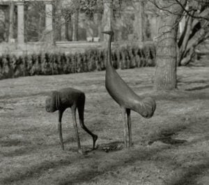 Forst: Bronze-Kraniche im Rosengarten gestohlen. Belohnung für Hinweise