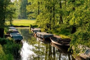 Mehrere Fließe im Unterspreewald wieder befahrbar