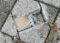 Bild: Stadt Forst (Lausitz)