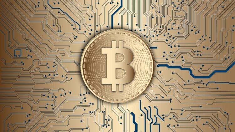 Goldene Bitcoin-Münze vor dem Muster einer Leiterplatte als Sinnbild für Blockchain