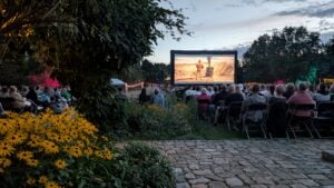 Start für Filmnächte Cottbus im Spreeauenpark: Open-Air-Kino im Sommer