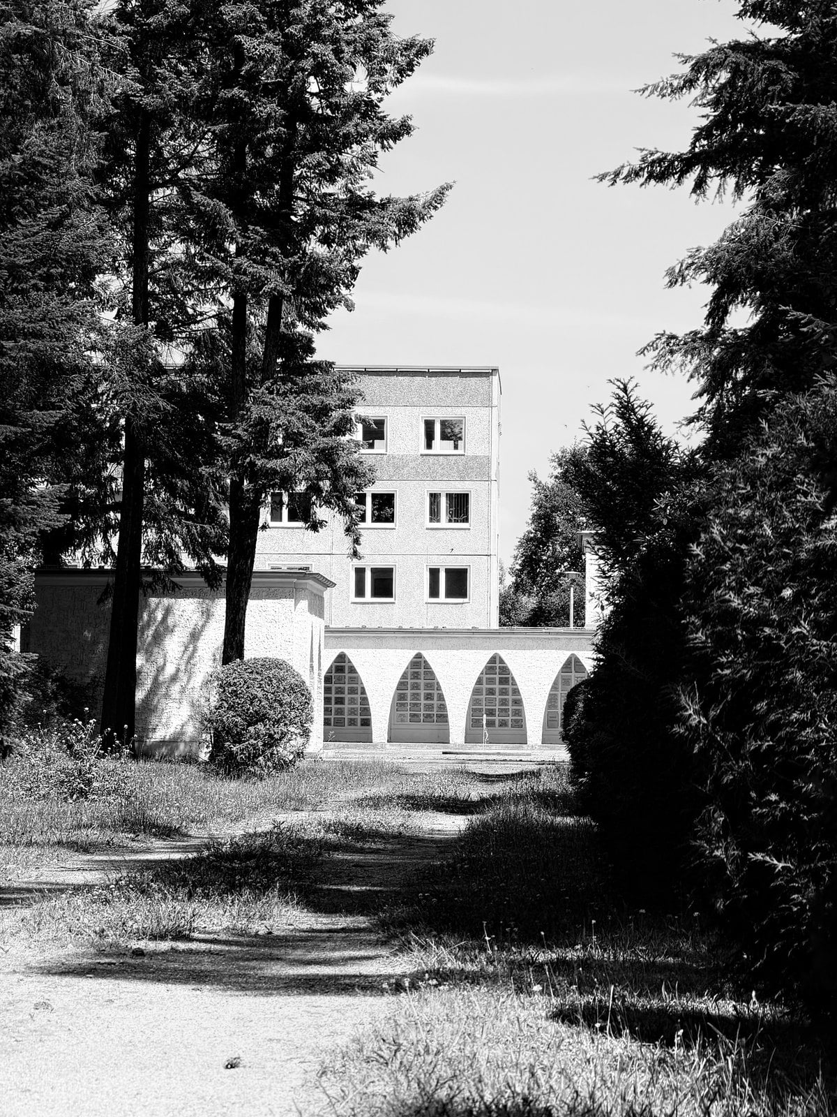 Schwarz-weiße Aufnahme des Krematoriums in Forst hinter Bäumen