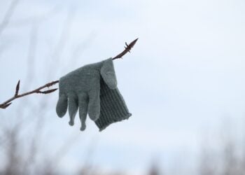 Grauer Strickhandschuh haengt an einem kahlen Zweig vor winterlichem Himmel