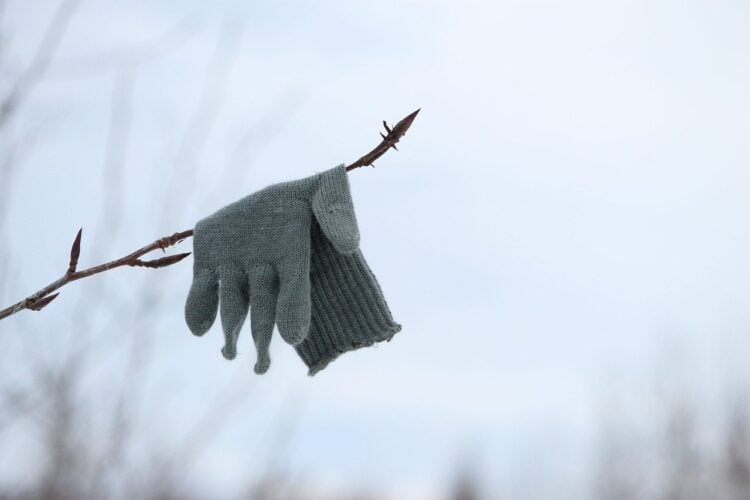 Grauer Strickhandschuh haengt an einem kahlen Zweig vor winterlichem Himmel