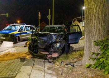 Unfallauto nach Aufprall gegen einen Baum in Kolkwitz