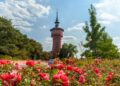 Buntes Treiben beim Wasserturmfest am Forster Wasserturm