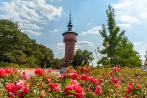 Wasserturmfest in Forst mit Feuerwerk und Feuershow