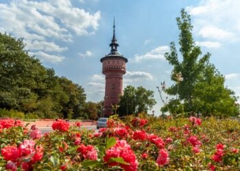 Buntes Treiben beim Wasserturmfest am Forster Wasserturm