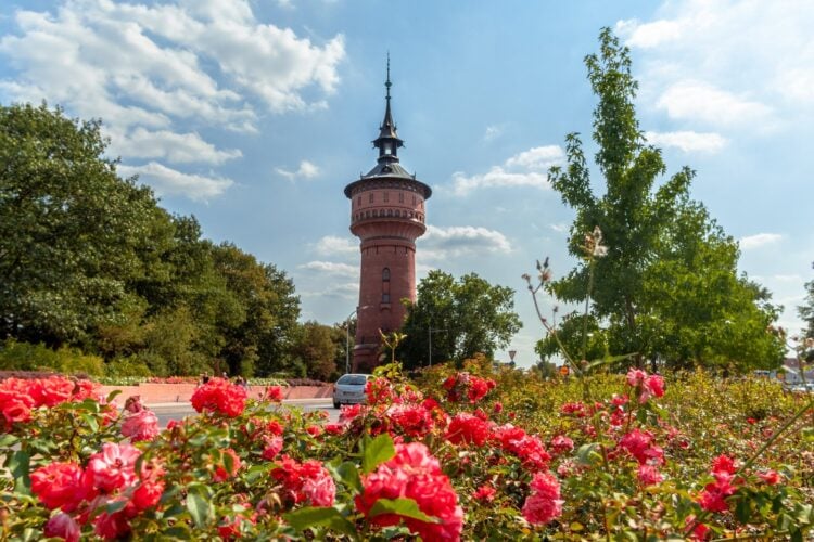 Buntes Treiben beim Wasserturmfest am Forster Wasserturm