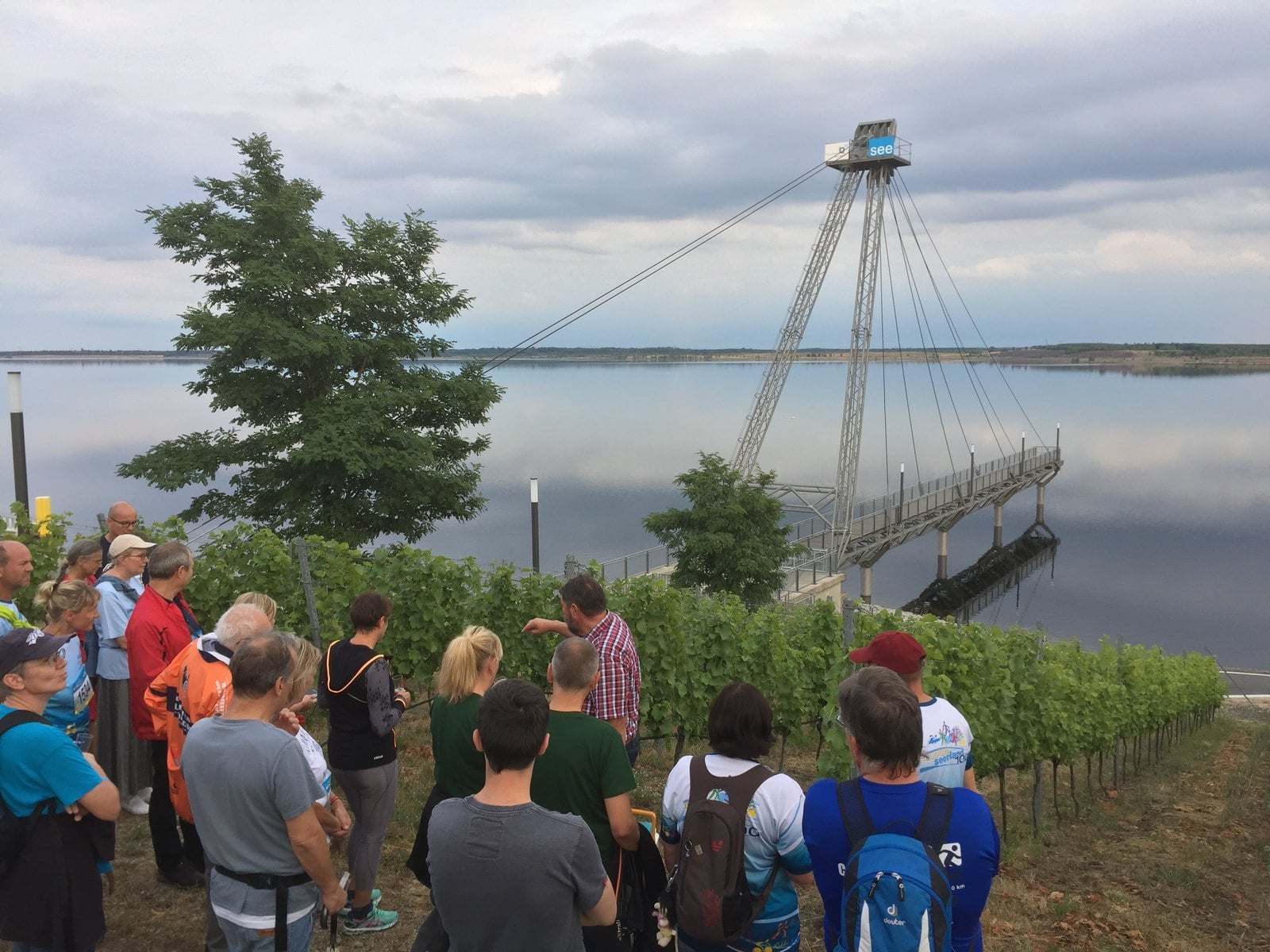 Besuchergruppe bei einer Weinbergführung im Steilhang über dem Großräschener See