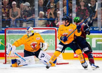 Anthony Morrone hält für die Lausitzer Füchse im Wellblechpalast gegen die Eisbären Berlin