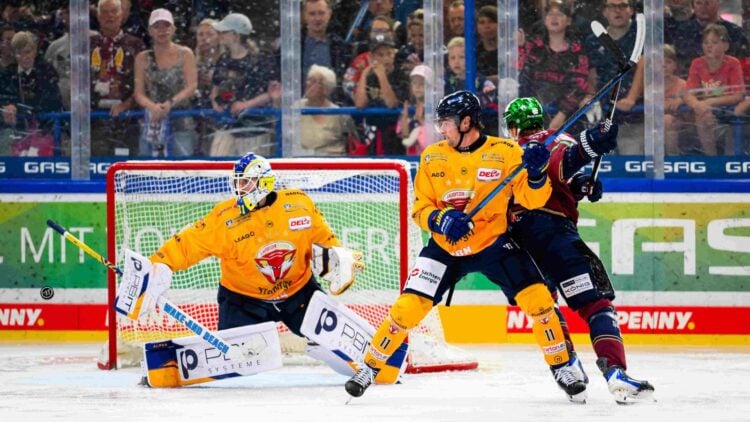 Anthony Morrone hält für die Lausitzer Füchse im Wellblechpalast gegen die Eisbären Berlin