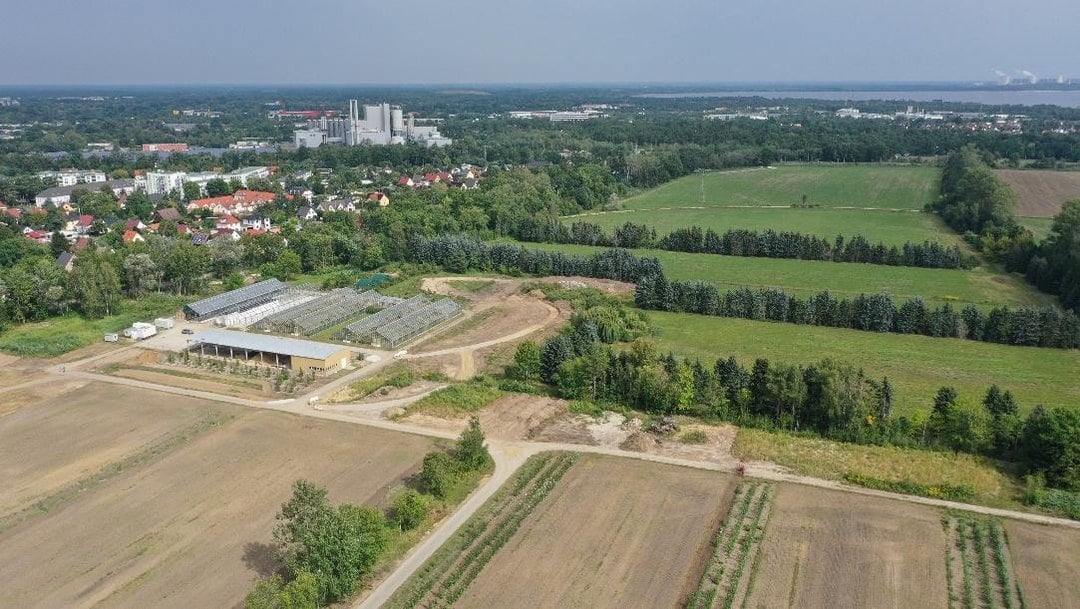Die Baumuniversität im Branitzer Außenpark