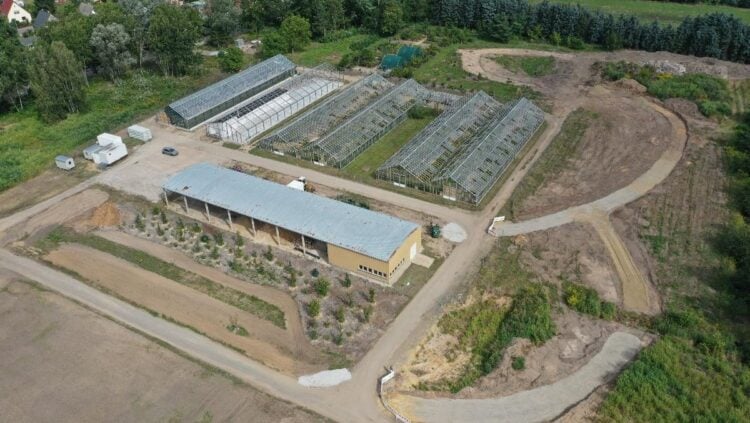 Luftbild von Gewächshäusern und Kulturflächen der Branitzer Baumuniversität