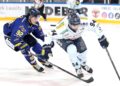Ein Spieler der Lausitzer Füchse im Zweikampf in der Eisarena Weißwasser