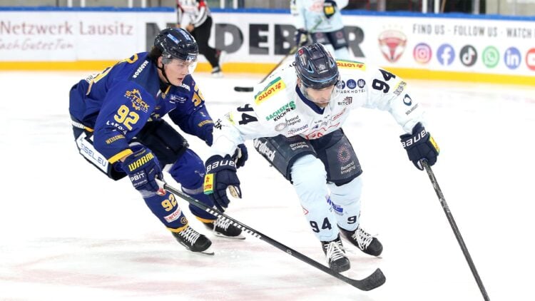 Ein Spieler der Lausitzer Füchse im Zweikampf in der Eisarena Weißwasser