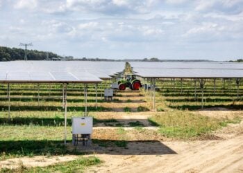 Traktor fährt zwischen langen Reihen aufgeständerter Solarmodule über einen Acker