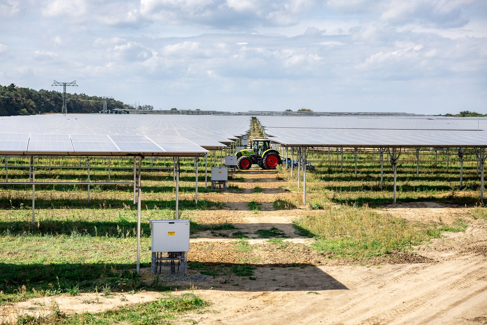 Agri-PV-Anlage in Selchow