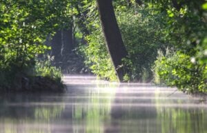 Neues Wanderbuch führt zu den Sagen des Spreewalds