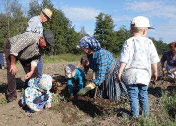 Menschen hacken auf einem Feld Kartoffeln aus, Kinder schauen zu