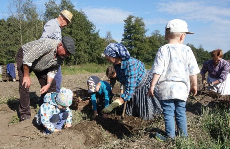 Menschen hacken auf einem Feld Kartoffeln aus, Kinder schauen zu
